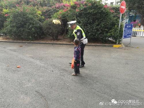 四川攀枝花婴儿最新爆料,真相即将揭晓